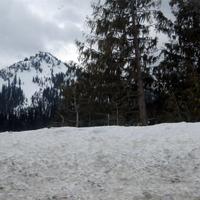 20080427_0081.JPG