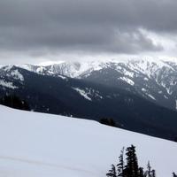 20080427_0085.JPG