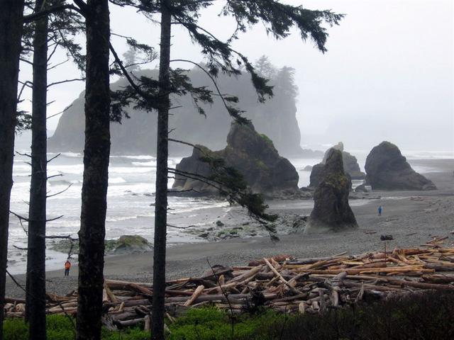 20080427_0120.JPG