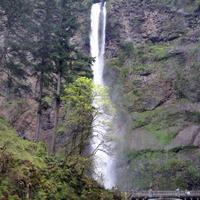 IMG_3816.JPG