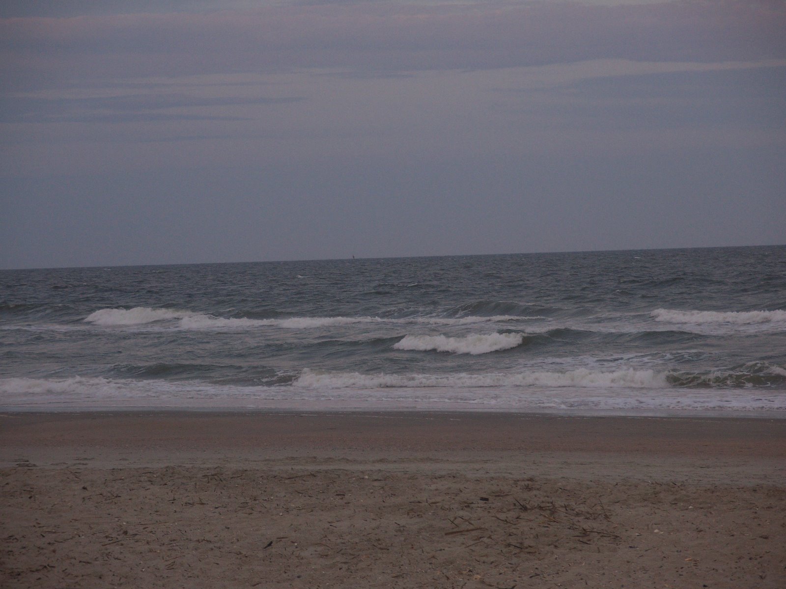 100_1170.jpg