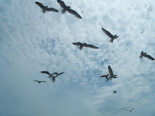 100_1204.jpg