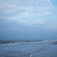 100_1205.jpg