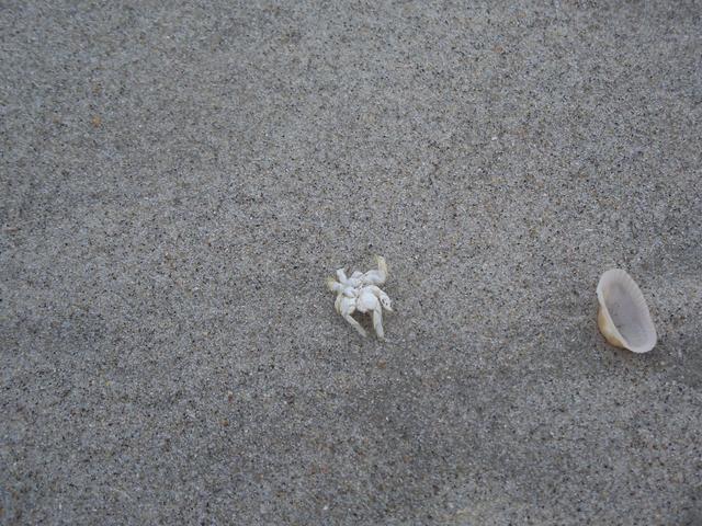 100_1209.jpg