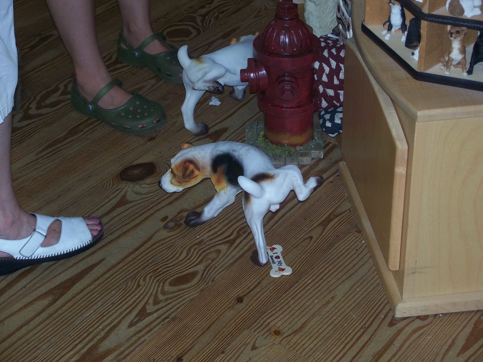 100_1211.jpg