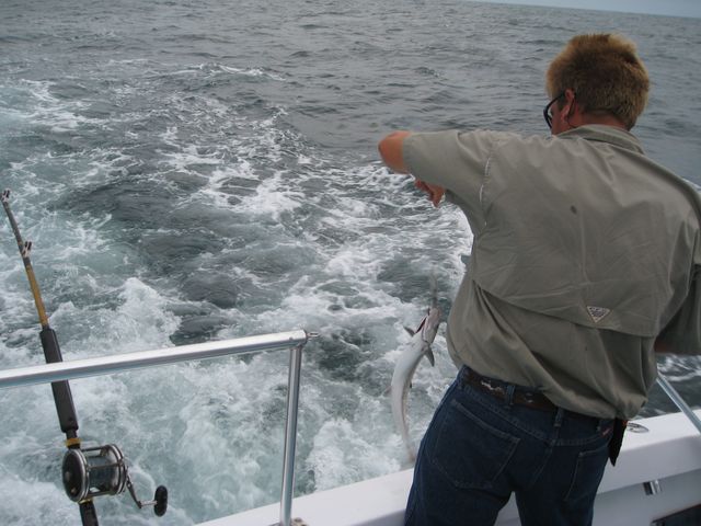 IMG_2035.JPG