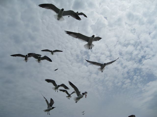 IMG_2057.JPG