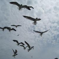 IMG_2057.JPG