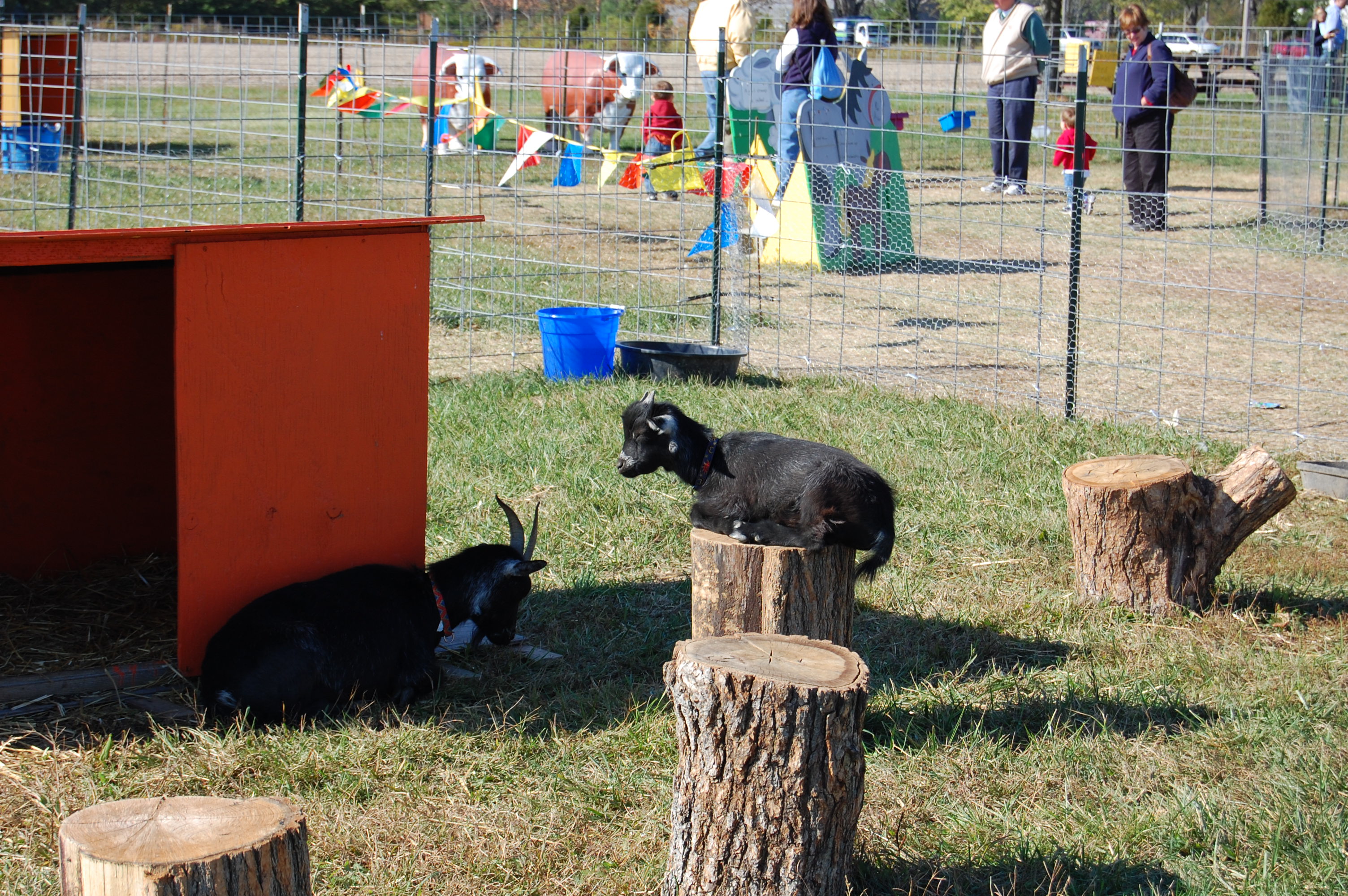 DSC_0159.JPG