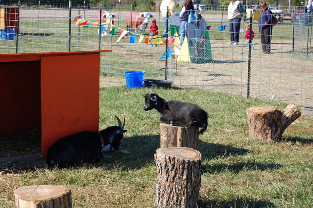 DSC_0159.JPG