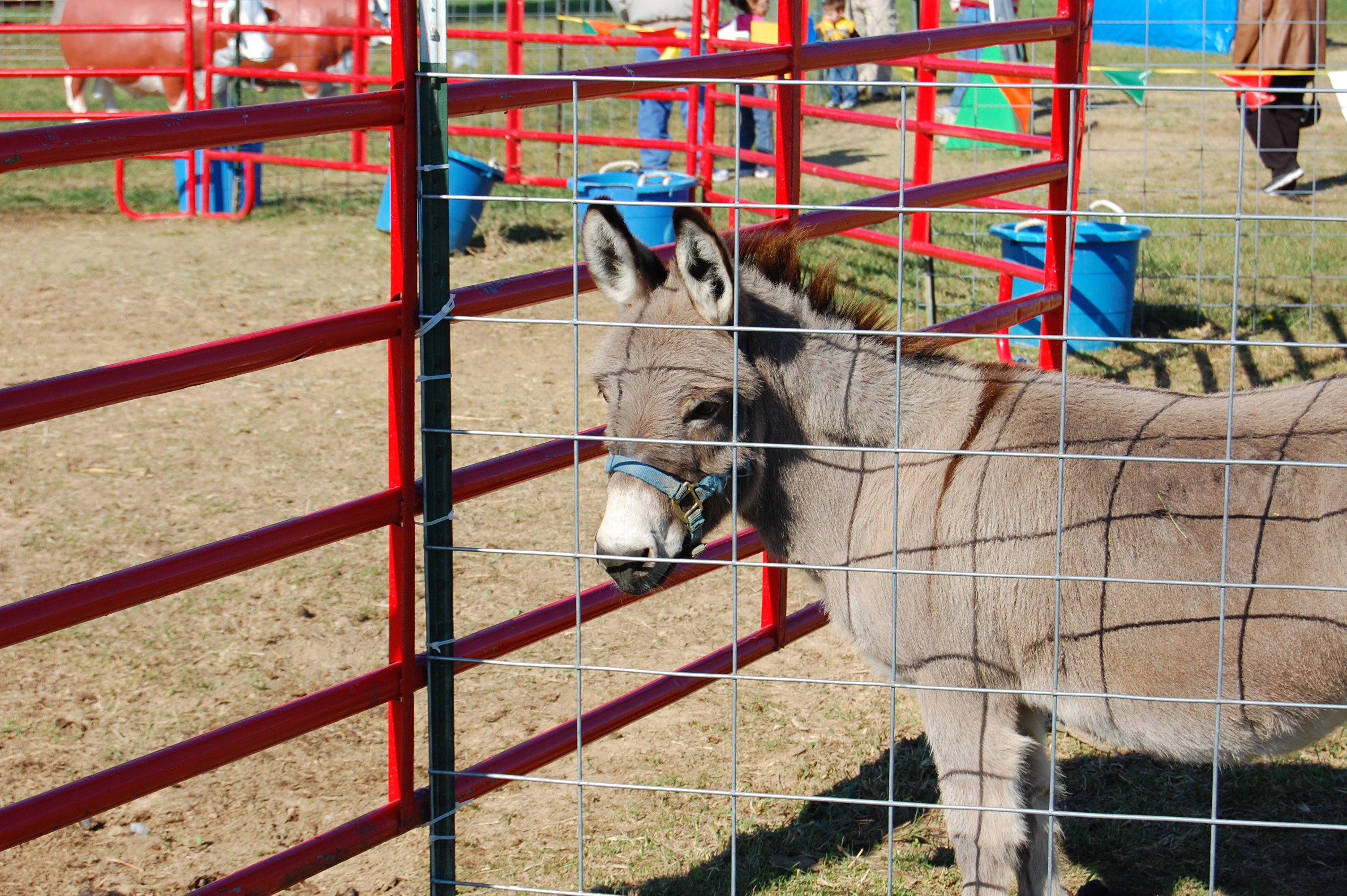 DSC_0161.JPG