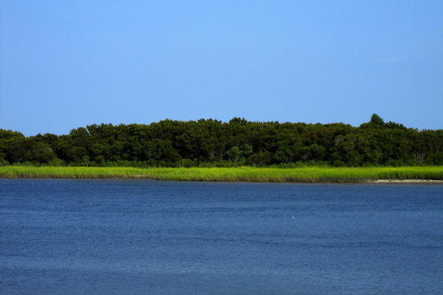 IMG_0223.JPG