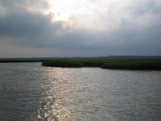 IMG_0039.jpg
