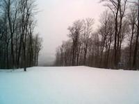 MLK Weekend Skiing
