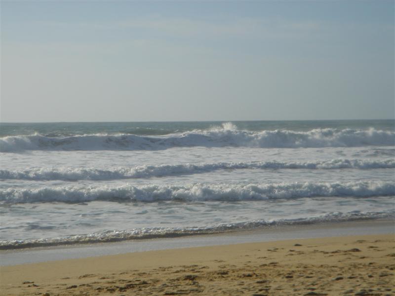 DSC00044.JPG