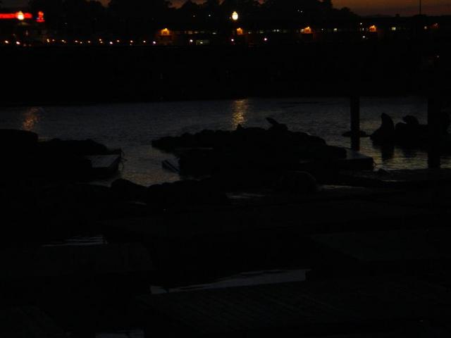 DSC00049.JPG