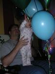PICT0092.JPG