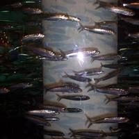 100_0260.jpg
