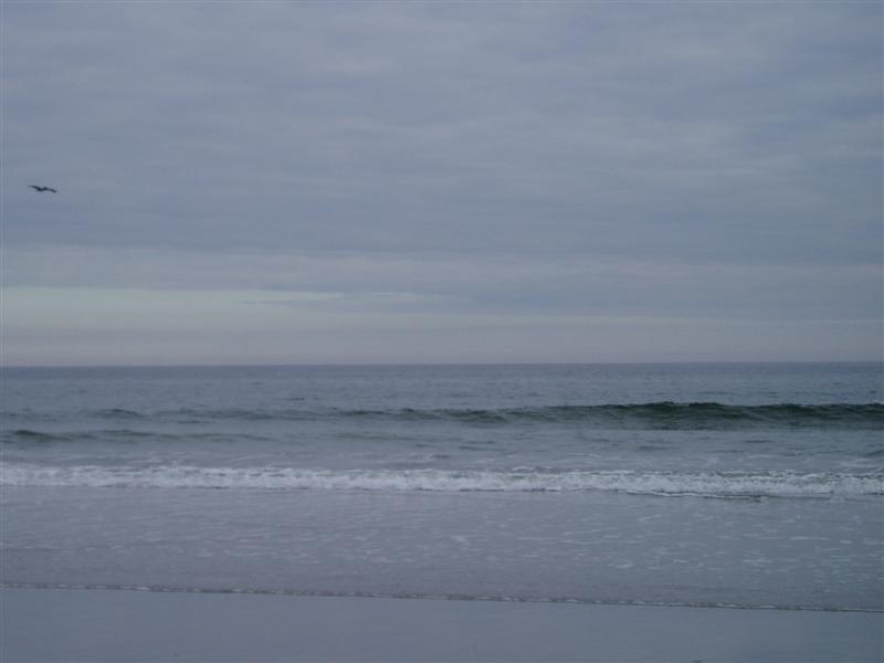 PB170012.JPG