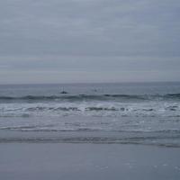 PB170013.JPG