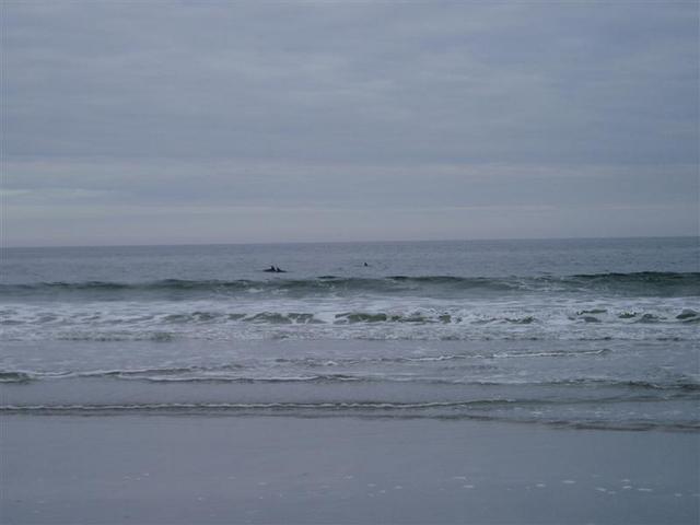 PB170013.JPG