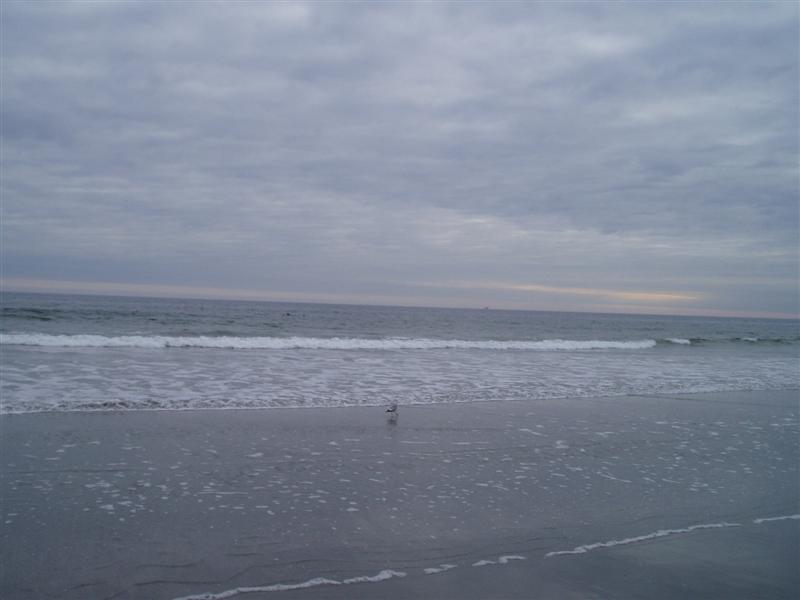 PB170018.JPG
